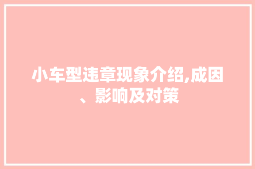 小车型违章现象介绍,成因、影响及对策