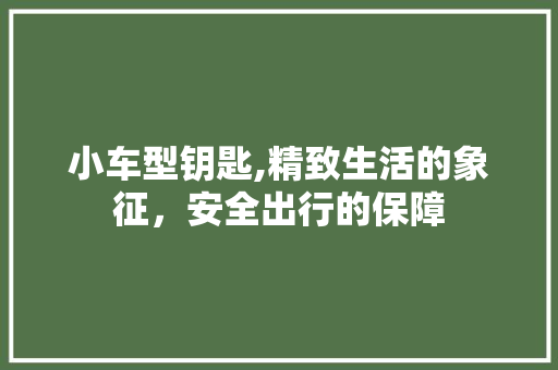 小车型钥匙,精致生活的象征，安全出行的保障
