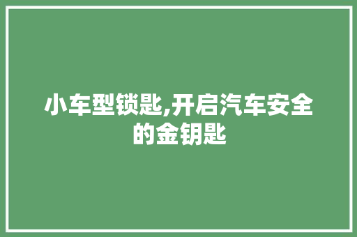 小车型锁匙,开启汽车安全的金钥匙