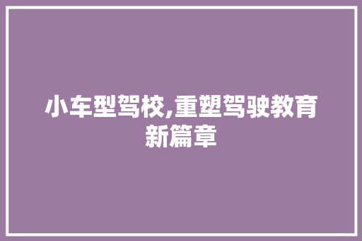 小车型驾校,重塑驾驶教育新篇章