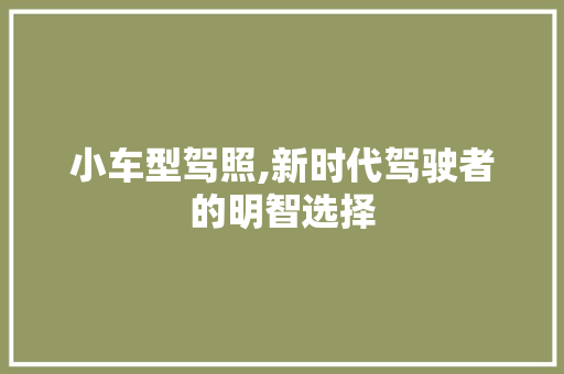 小车型驾照,新时代驾驶者的明智选择