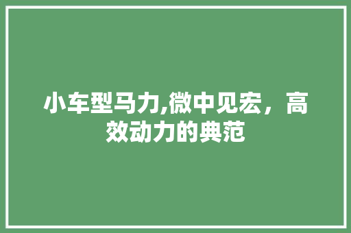 小车型马力,微中见宏，高效动力的典范
