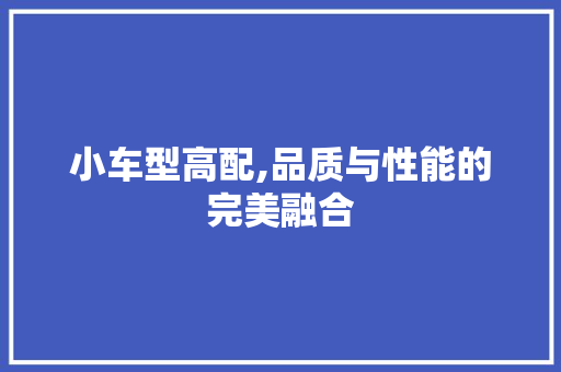 小车型高配,品质与性能的完美融合