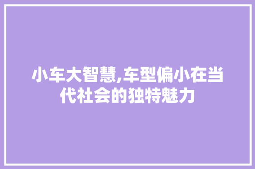 小车大智慧,车型偏小在当代社会的独特魅力