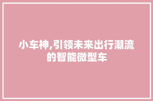 小车神,引领未来出行潮流的智能微型车