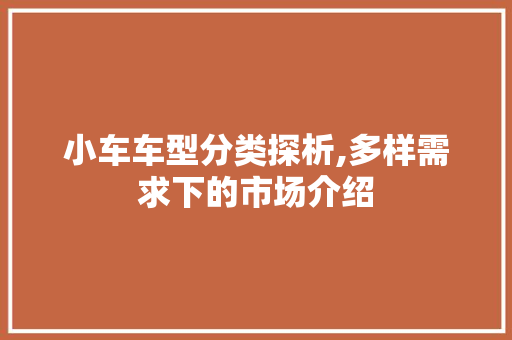 小车车型分类探析,多样需求下的市场介绍