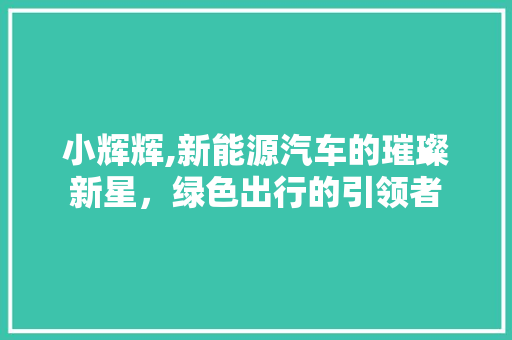 小辉辉,新能源汽车的璀璨新星，绿色出行的引领者