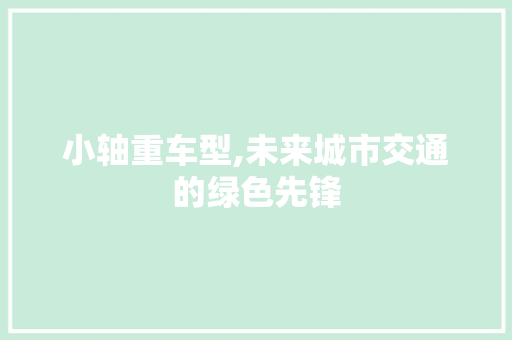 小轴重车型,未来城市交通的绿色先锋