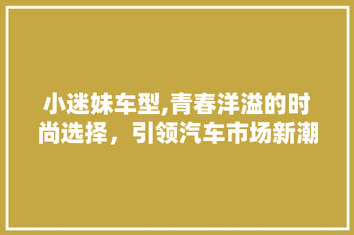 小迷妹车型,青春洋溢的时尚选择，引领汽车市场新潮流