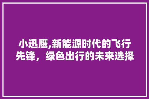 小迅鹰,新能源时代的飞行先锋，绿色出行的未来选择