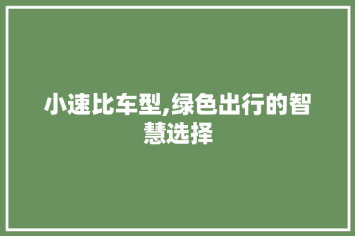 小速比车型,绿色出行的智慧选择