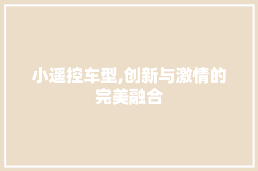 小遥控车型,创新与激情的完美融合