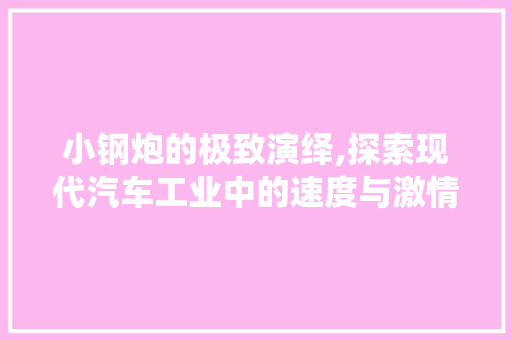 小钢炮的极致演绎,探索现代汽车工业中的速度与激情