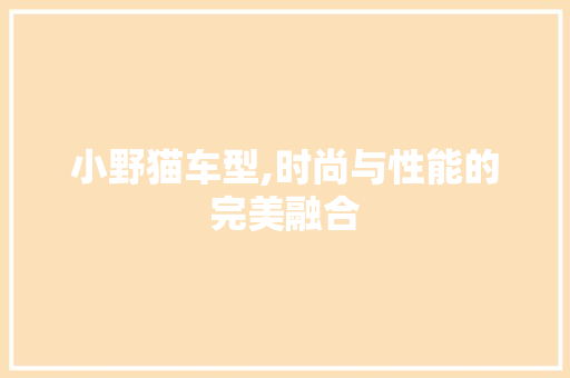 小野猫车型,时尚与性能的完美融合