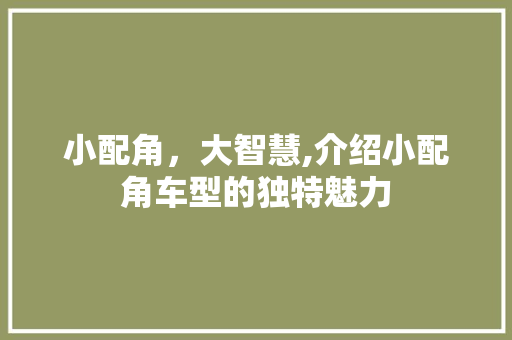 小配角，大智慧,介绍小配角车型的独特魅力