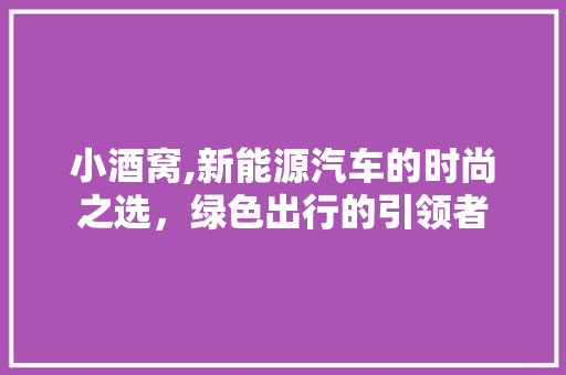 小酒窝,新能源汽车的时尚之选，绿色出行的引领者