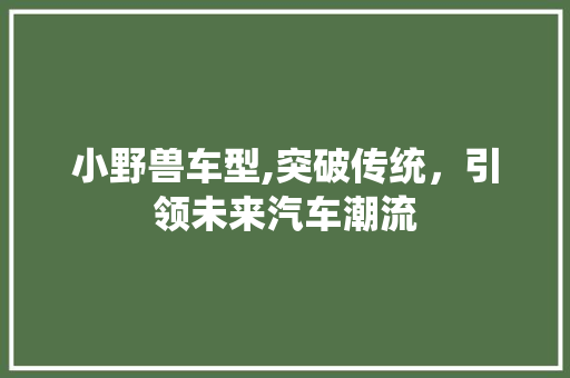 小野兽车型,突破传统，引领未来汽车潮流