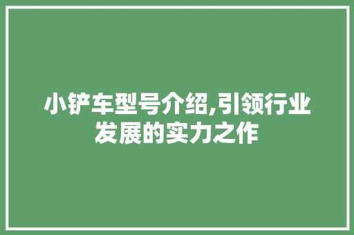 小铲车型号介绍,引领行业发展的实力之作