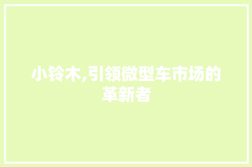 小铃木,引领微型车市场的革新者