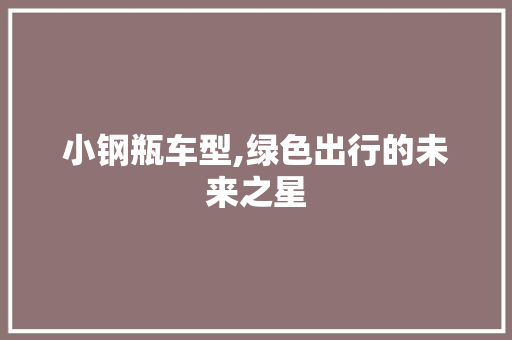 小钢瓶车型,绿色出行的未来之星