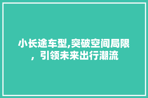 小长途车型,突破空间局限，引领未来出行潮流