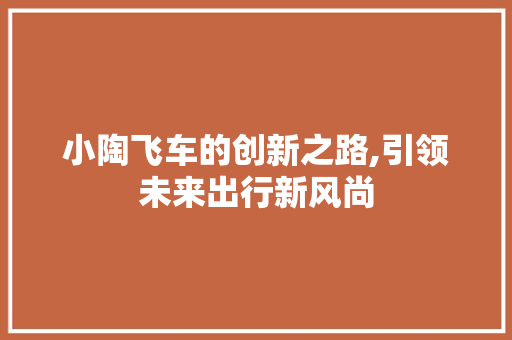 小陶飞车的创新之路,引领未来出行新风尚