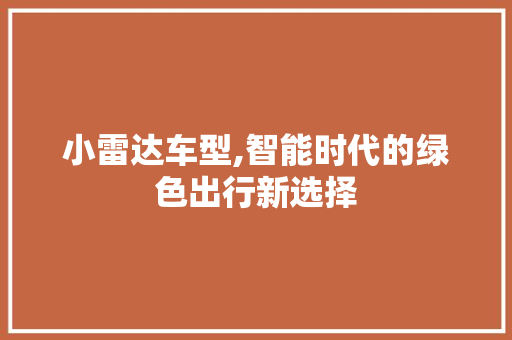 小雷达车型,智能时代的绿色出行新选择