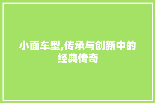 小面车型,传承与创新中的经典传奇