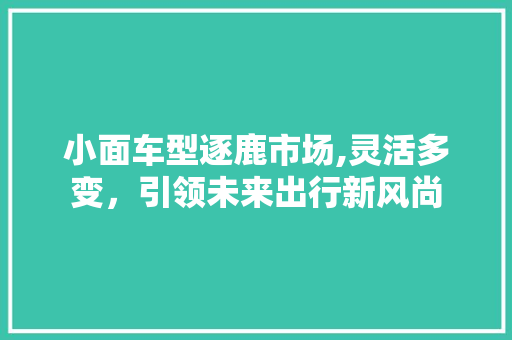 小面车型逐鹿市场,灵活多变，引领未来出行新风尚