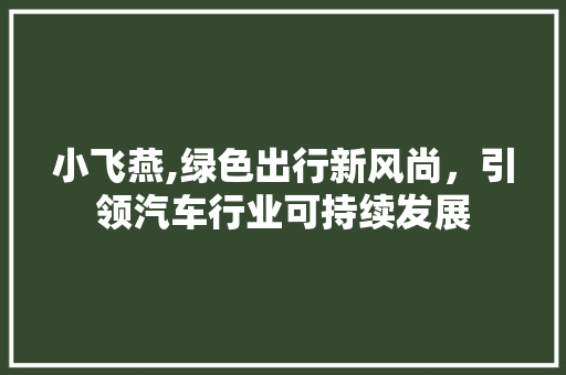 小飞燕,绿色出行新风尚，引领汽车行业可持续发展 变速箱配件