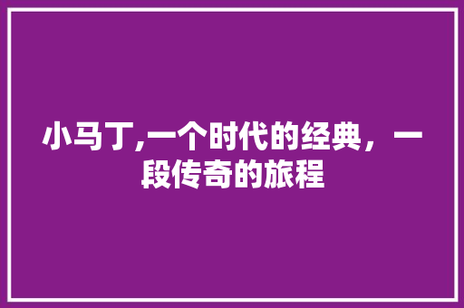 小马丁,一个时代的经典，一段传奇的旅程