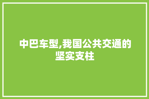 中巴车型,我国公共交通的坚实支柱