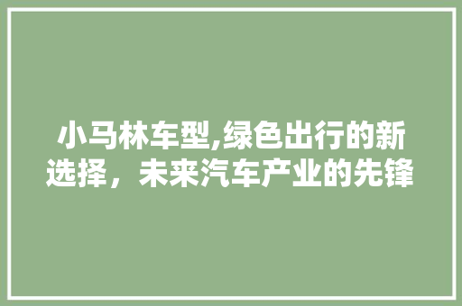 小马林车型,绿色出行的新选择，未来汽车产业的先锋