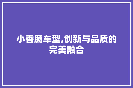 小香肠车型,创新与品质的完美融合