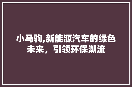 小马驹,新能源汽车的绿色未来，引领环保潮流