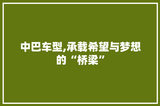中巴车型,承载希望与梦想的“桥梁”