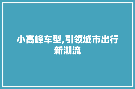 小高峰车型,引领城市出行新潮流