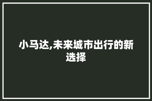 小马达,未来城市出行的新选择