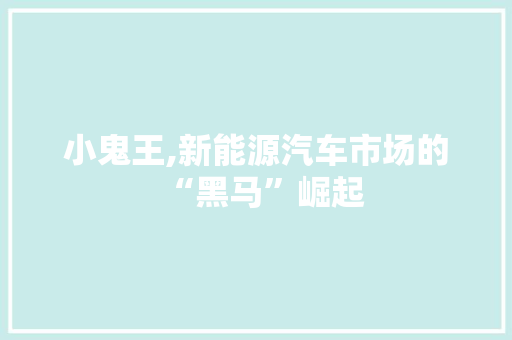 小鬼王,新能源汽车市场的“黑马”崛起