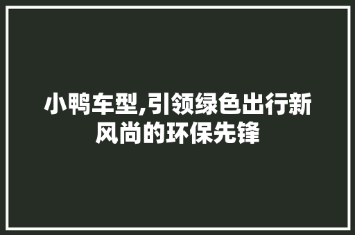 小鸭车型,引领绿色出行新风尚的环保先锋
