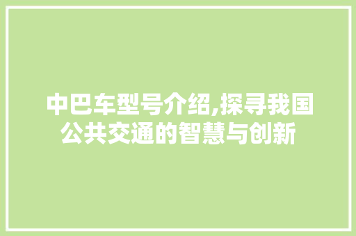 中巴车型号介绍,探寻我国公共交通的智慧与创新