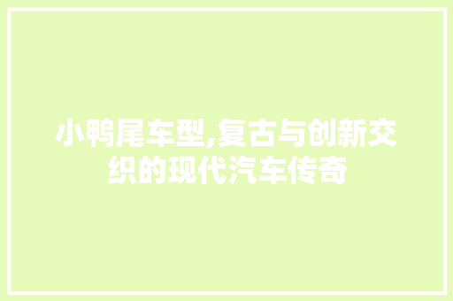 小鸭尾车型,复古与创新交织的现代汽车传奇