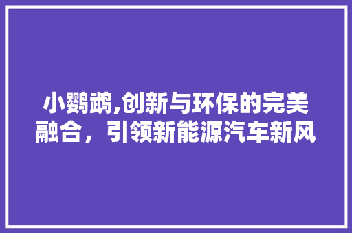 小鹦鹉,创新与环保的完美融合，引领新能源汽车新风尚