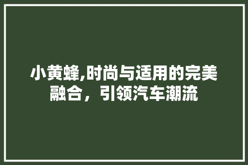 小黄蜂,时尚与适用的完美融合，引领汽车潮流
