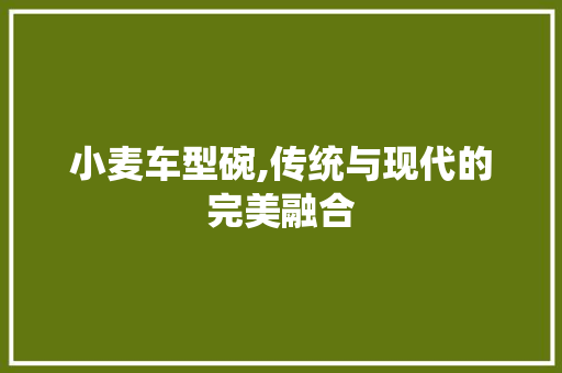小麦车型碗,传统与现代的完美融合 底盘配件