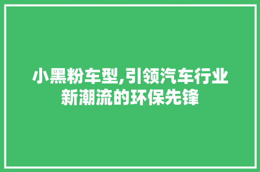小黑粉车型,引领汽车行业新潮流的环保先锋