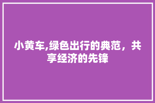 小黄车,绿色出行的典范，共享经济的先锋