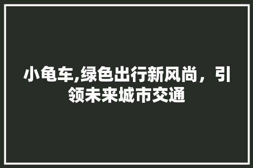 小龟车,绿色出行新风尚，引领未来城市交通 汽车配件