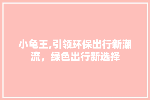 小龟王,引领环保出行新潮流，绿色出行新选择 底盘配件