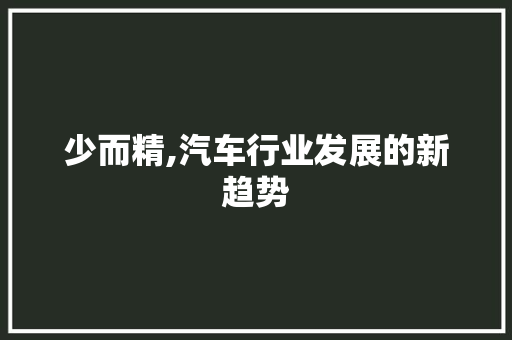 少而精,汽车行业发展的新趋势